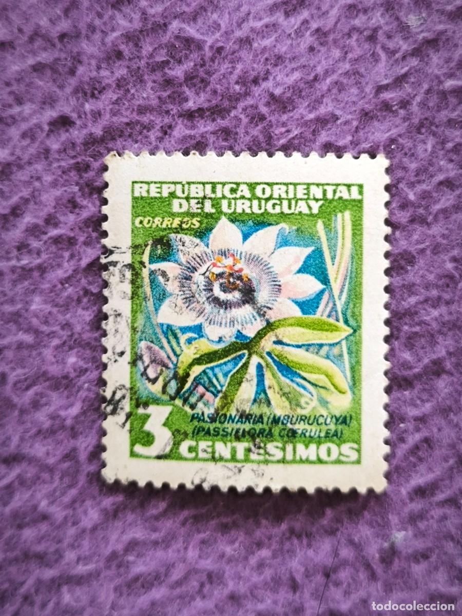 Sellos: Descubre La Belleza Bot&aacute;nica De Uruguay Con Este Extraordinario Sello Vintage De 3 Cent&eacute;simos