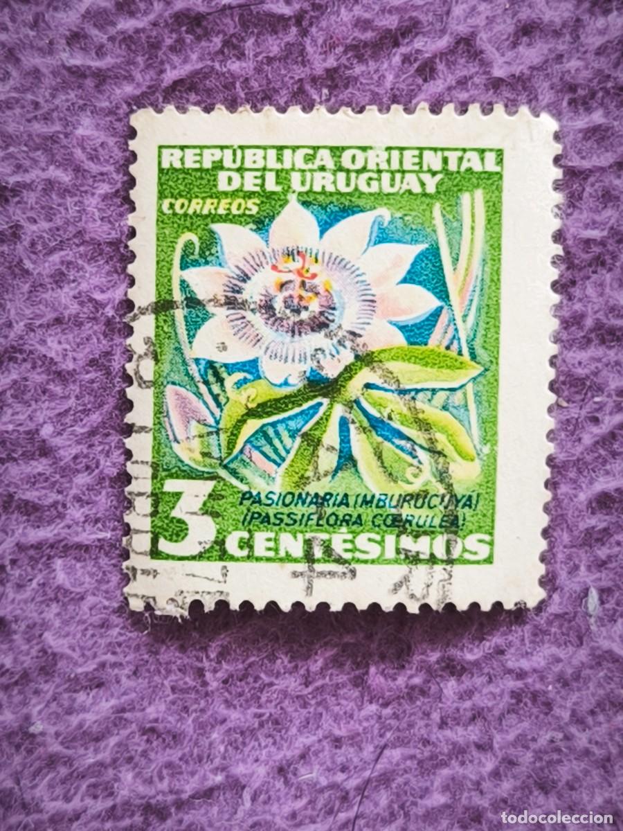 Sellos: Sello Uruguay Correos 3 Cent&eacute;simos &ndash; Pasionaria Mburucuy&aacute;, Passiflora Coerulea