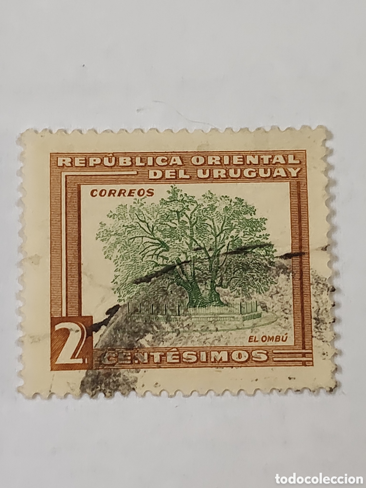 Sellos: Sello de Uruguay &aacute;rbol Omb&uacute; 1954 usado