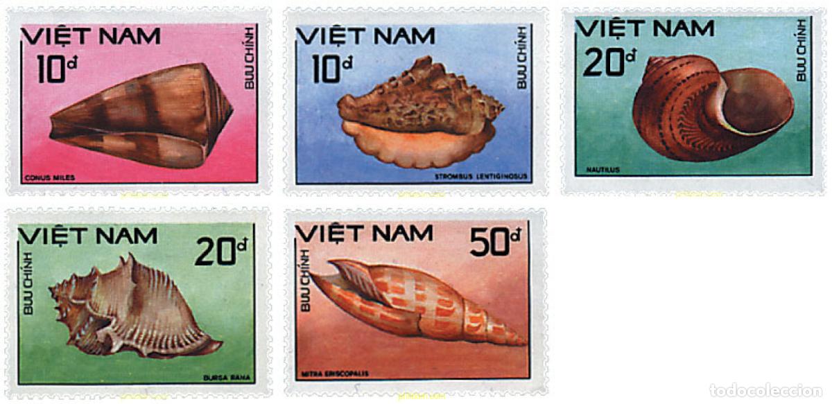 Sellos: 621505 MNH VIETNAM 1988 CONCHAS