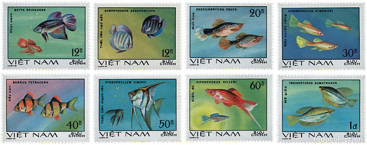 Sellos: 37732 MNH VIETNAM 1981 PECES