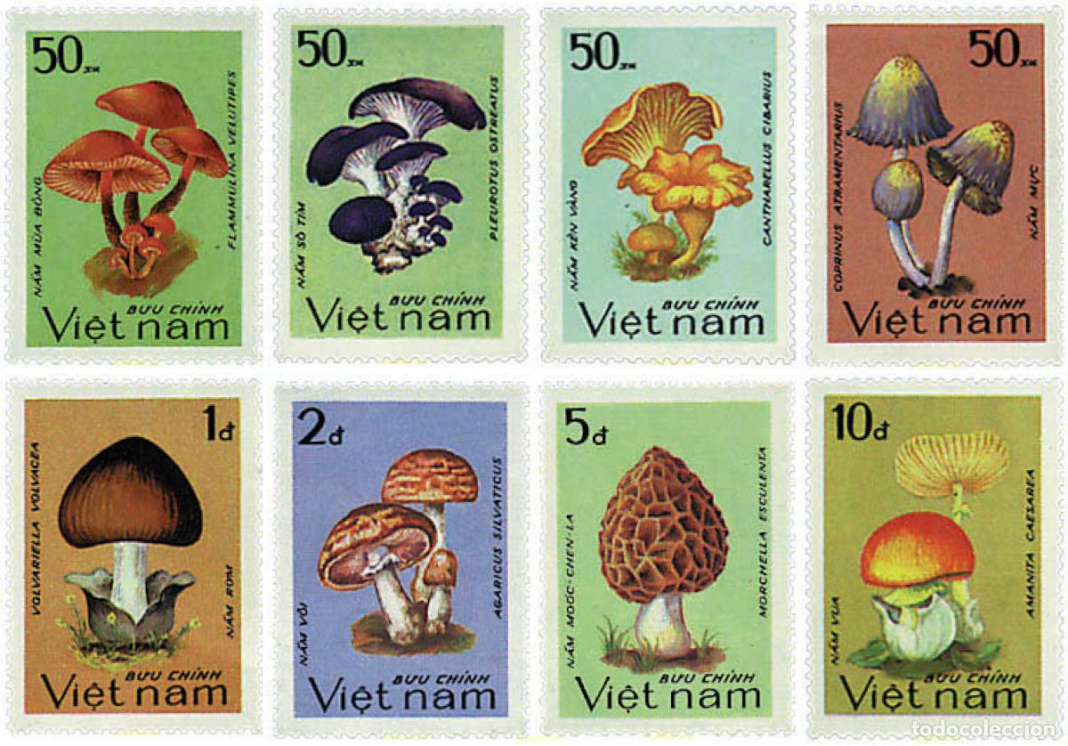 Sellos: 37745 MNH VIETNAM 1983 SETAS