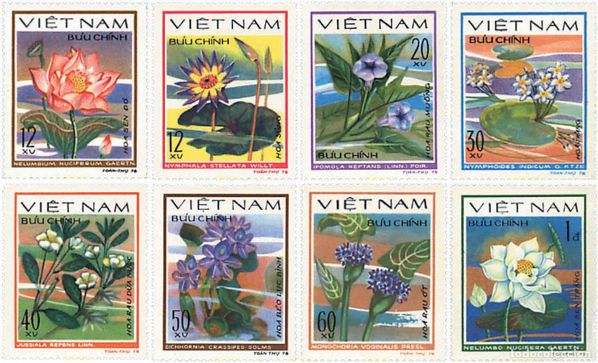 Sellos: 92816 MNH VIETNAM 1980 FLORES ACUATICAS
