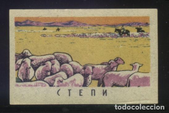 Sellos: S-03572- CTE&Pi;И............. - Foto 1