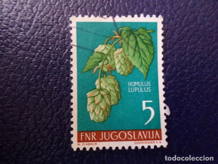Sellos: yugoslavia, 1955, plantas diversas, Yvert 667 - Foto 1 - 300283898