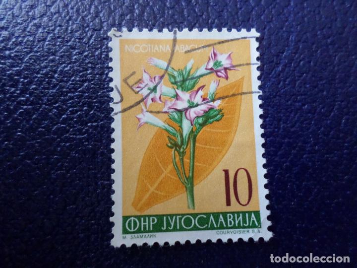 YUGOSLAVIA, 1955, PLANTAS DIVERSAS, YVERT 668 (Sellos - Extranjero - Europa - Yugoslavia)