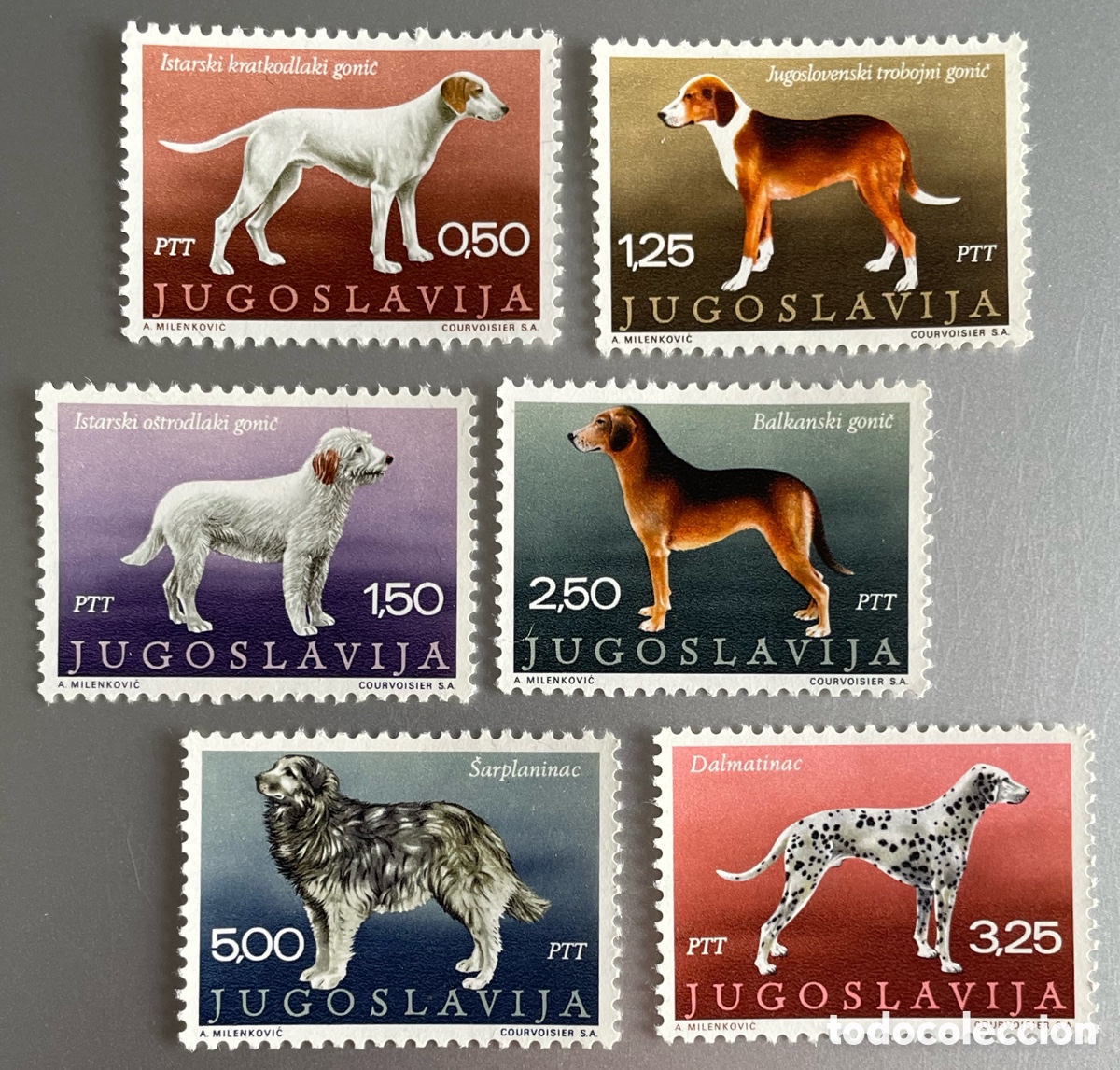 Sellos: Yugoslavia. Perros de raza. 1970 - Foto 1