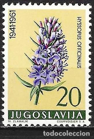 Sellos: Yugoslavia 1961 - Mi 945 - YT 845 - Planta medicinal : Hisopo - MNH**