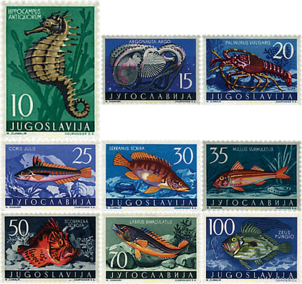 Sellos: 67151 MNH YUGOSLAVIA 1956 FAUNA MARINA DEL MAR ADRIATICO