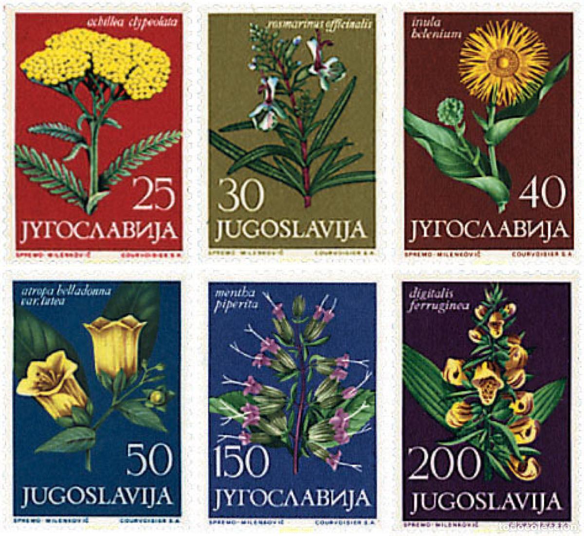 Sellos: 93049 MNH YUGOSLAVIA 1965 FLORES DE PLANTAS MEDICINALES
