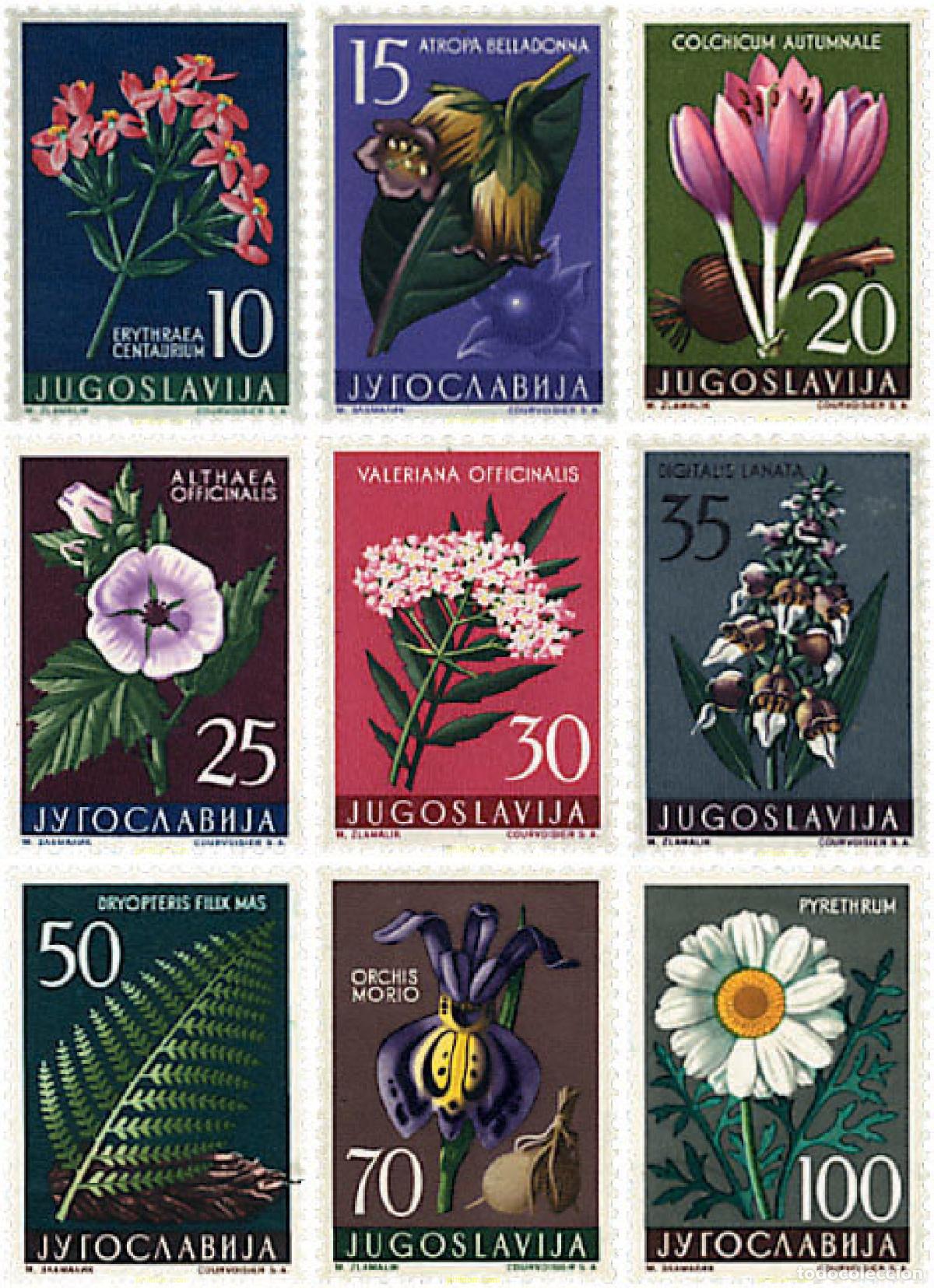 Sellos: 300426 MNH YUGOSLAVIA 1957 FLORES DE YUGOSLAVIA