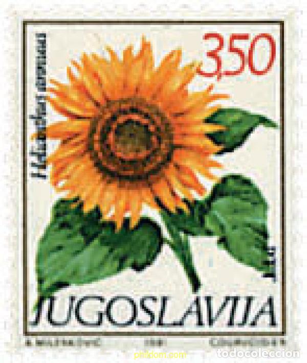 Sellos: 294451 MNH YUGOSLAVIA 1981 FLORA