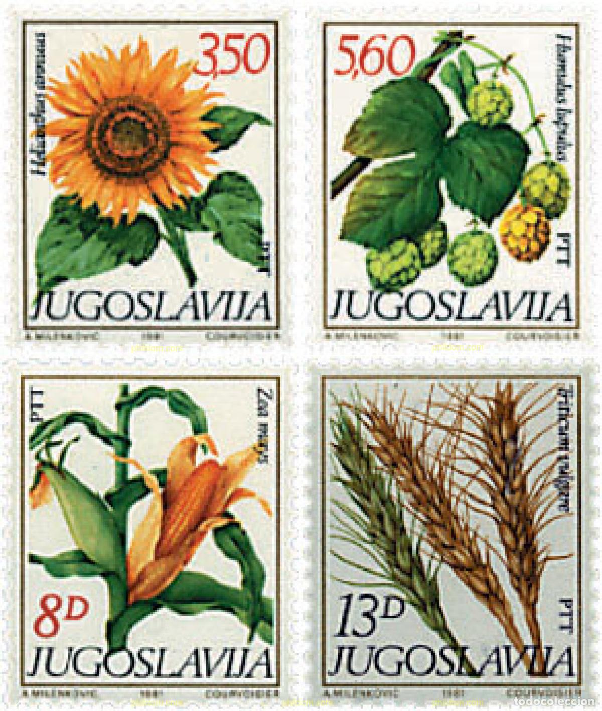 Stamps: 93065 MNH YUGOSLAVIA 1981 FLORA
