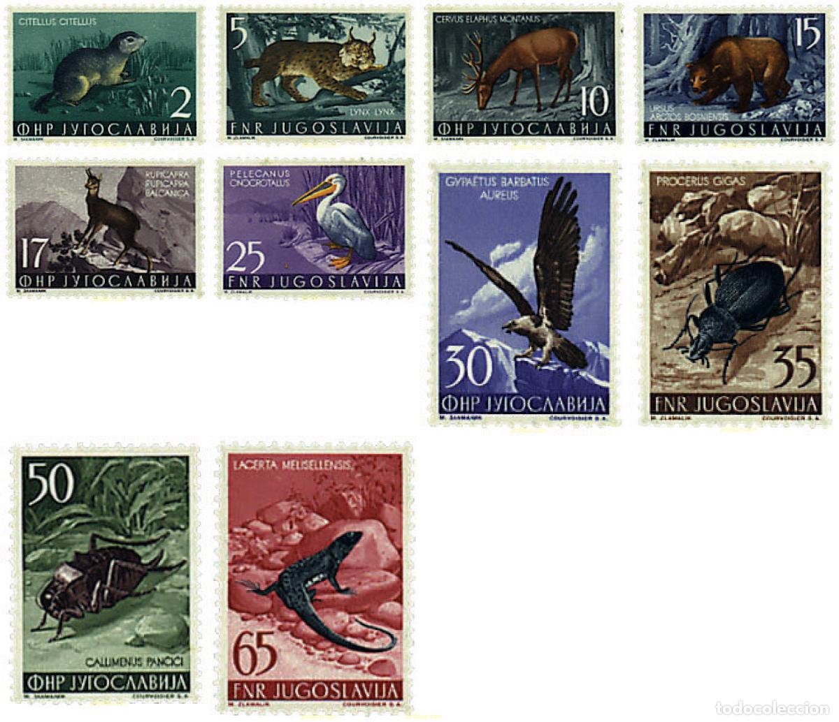 Sellos: 293775 MNH YUGOSLAVIA 1954 FAUNA