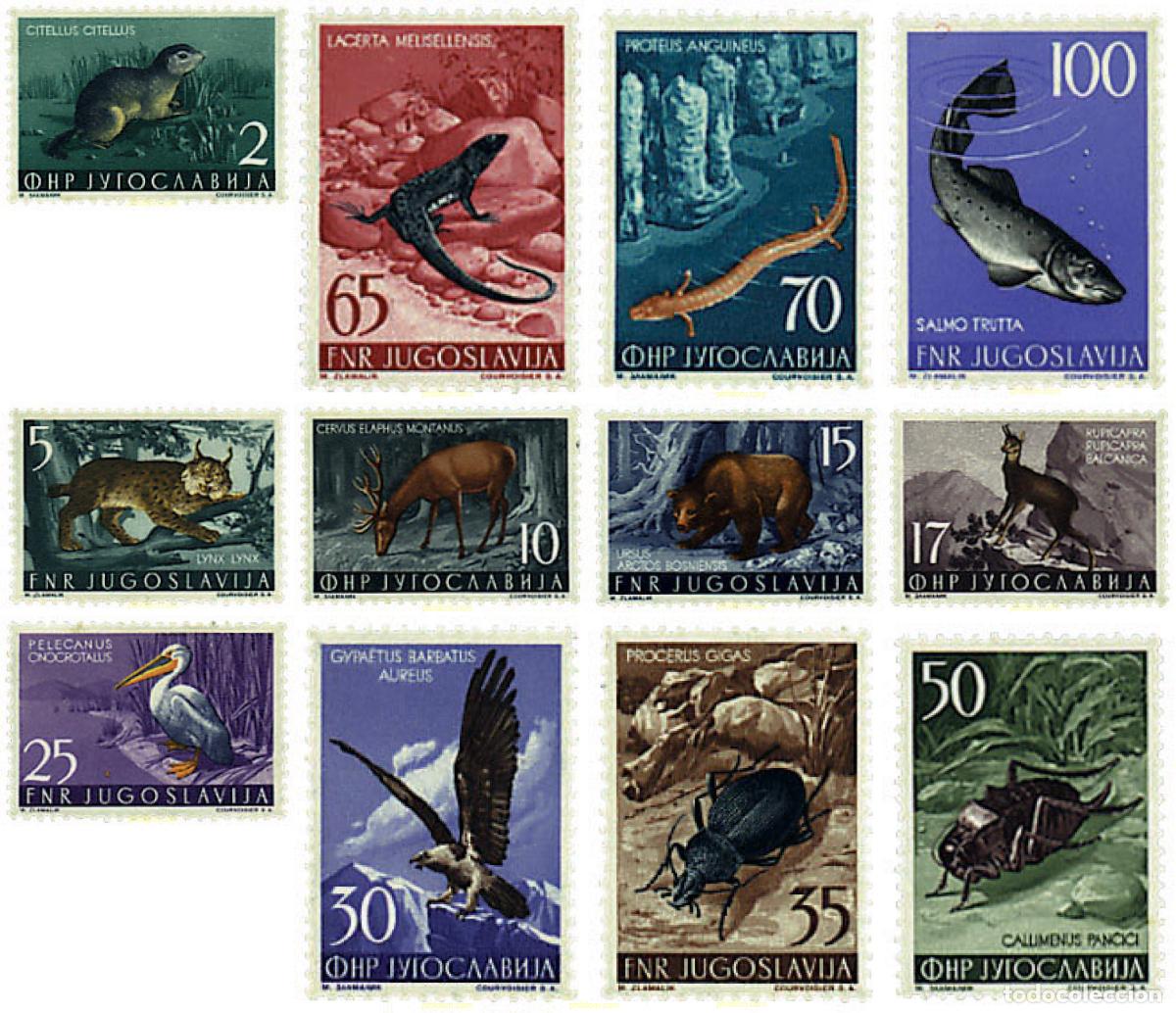Sellos: 349390 HINGED YUGOSLAVIA 1954 FAUNA