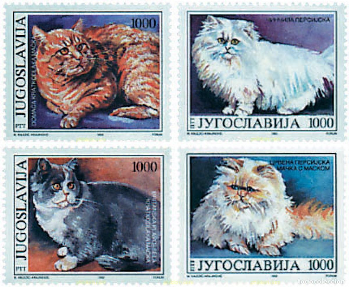 Sellos: 67332 MNH YUGOSLAVIA 1992 GATOS