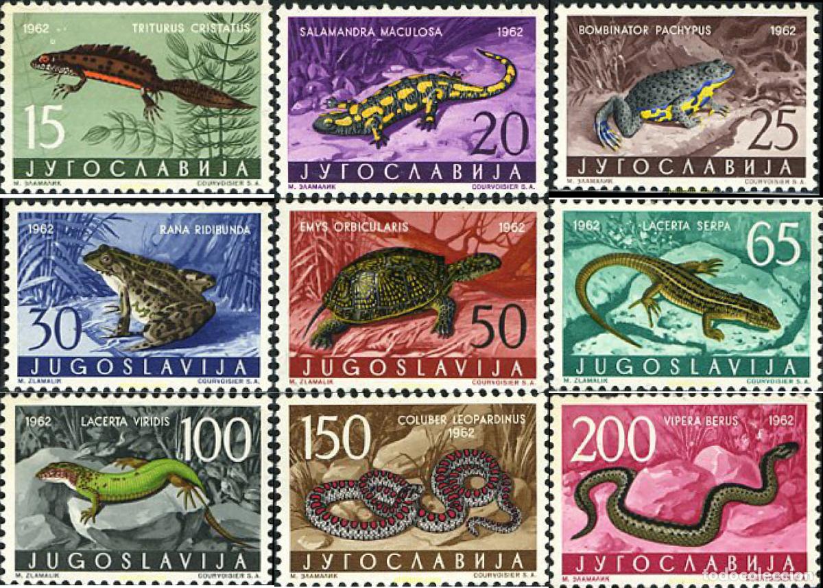 Sellos: 34326 MNH YUGOSLAVIA 1962 REPTILES Y BATRACIOS
