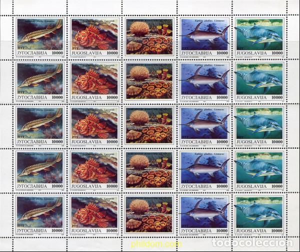 Sellos: 287566 MNH YUGOSLAVIA 1993 FAUNA MARINA