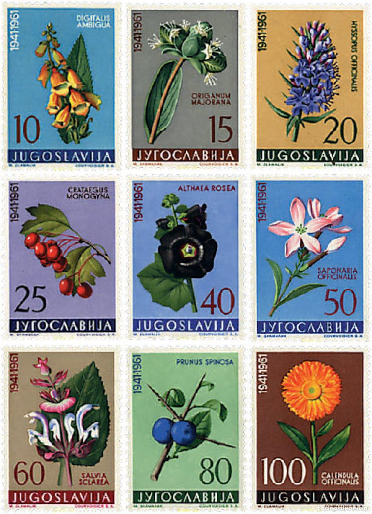 Selos: 96170 MNH YUGOSLAVIA 1961 PLANTAS MEDICINALES