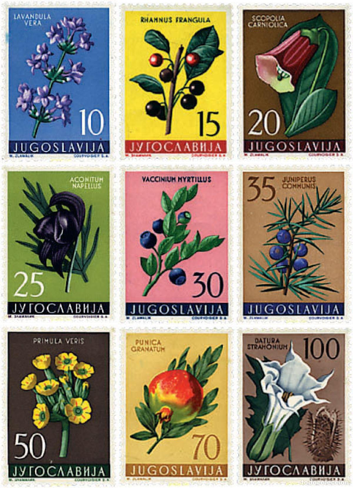 Sellos: 326860 HINGED YUGOSLAVIA 1959 PLANTAS MEDICINALES