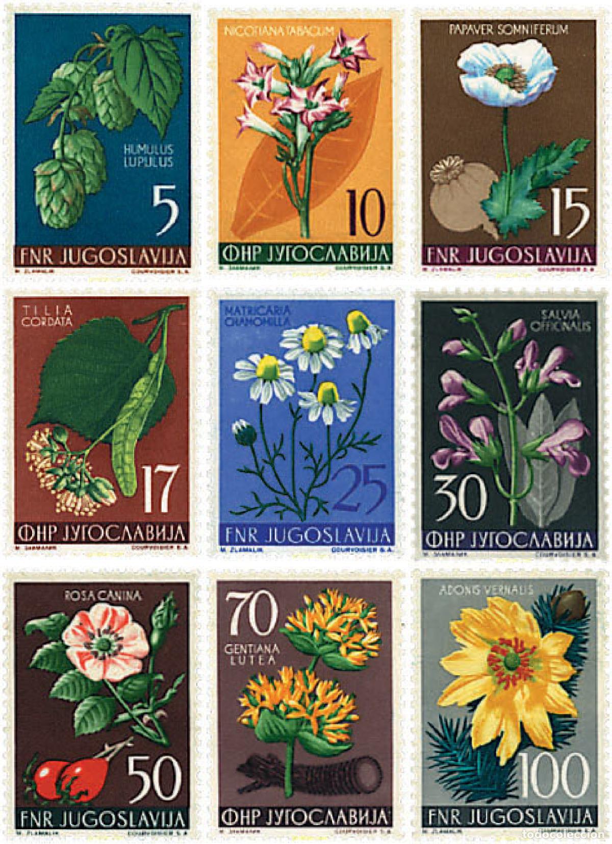 Sellos: 93041 MNH YUGOSLAVIA 1955 FLORES DE YUGOSLAVIA