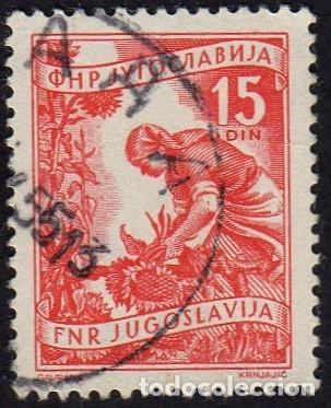 Sellos: Yugoslavia. Mujer y Girasoles. 1953. YT-606. usado