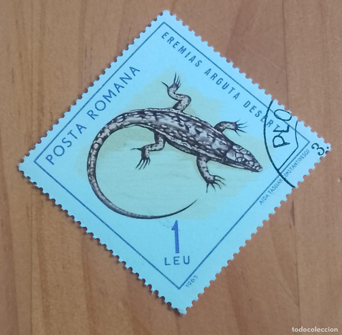 Sellos: RUMANIA - V/F 1 LEU - A&Ntilde;O 1964 - FAUNA, REPTIL, LAGARTO EREMIAS ARGUTA DESERT SC 1725