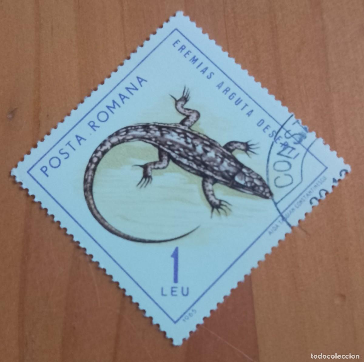 Sellos: RUMANIA - V/F 1 LEU - A&Ntilde;O 1964 - FAUNA, REPTIL, LAGARTO EREMIAS ARGUTA DESERT SC 1725