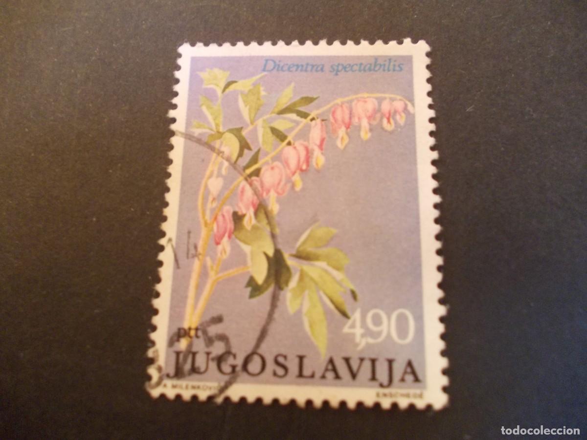 Selos: Sello Jugoslavija 490 Dicentra spectabilis flor sangrante fumataria bot&aacute;nica yugoslavia 1977