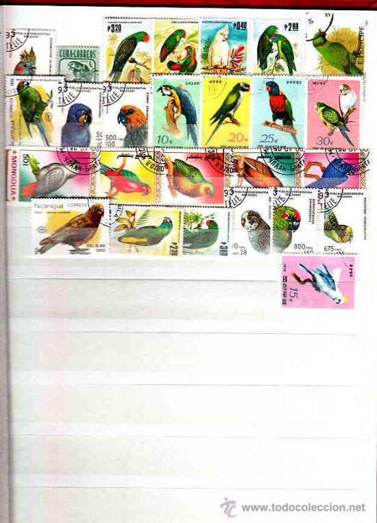 Sellos: COLECCION DE 26 SELLOS DE LOROS - Foto 1