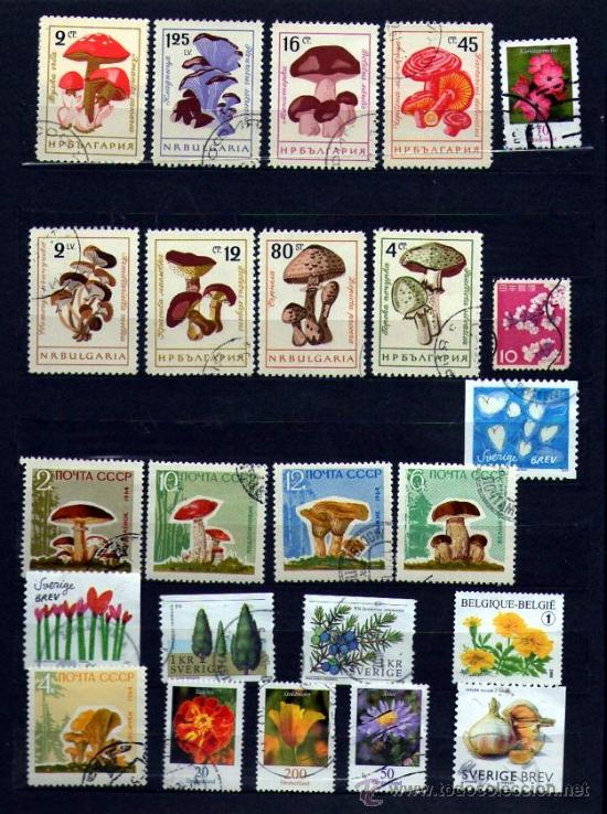 Sellos: Lote de 24 SELLOS de FLORA - Foto 1