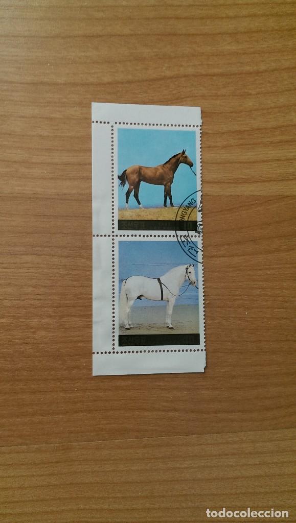 Sellos: Caballos - Foto 1