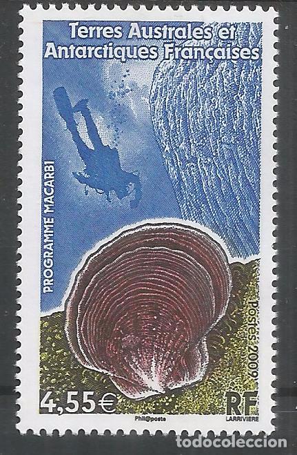 Selos: TAAF ANTARTCTIC ANTARTIDA POLO SUR CONCHA SHELL FAUNA SUBMARINISMO DIVE