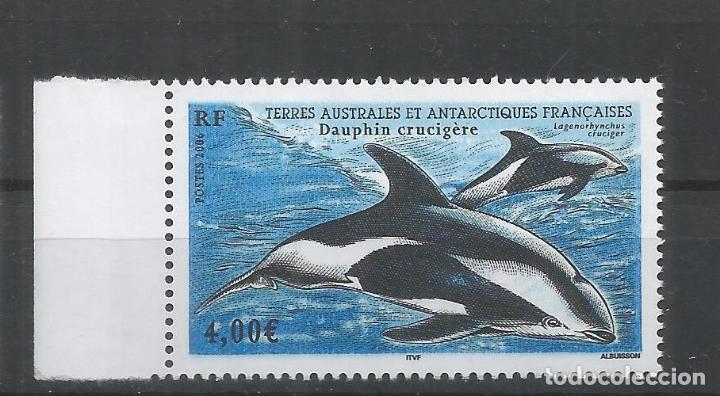Selos: TAAF ANTARTCTIC ANTARTIDA POLO SUR DELFIN DOLPHIN MAMIFERO MARINO