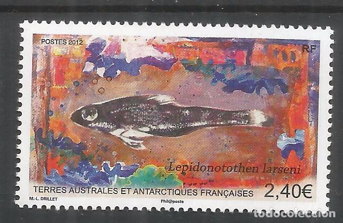 Selos: TAAF ANTARTCTIC ANTARTIDA POLO SUR PEZ FISH FAUNA