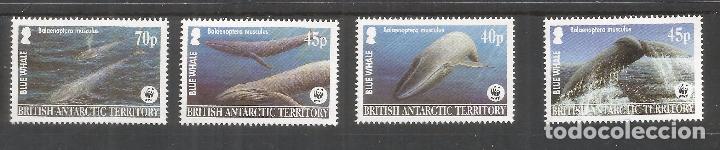 Selos: BRITISH ANTARCTIC TERRITORY  ANTARTIDA POLO SUR ANTARCTICA BALLENAS WHALES MAMIFERO