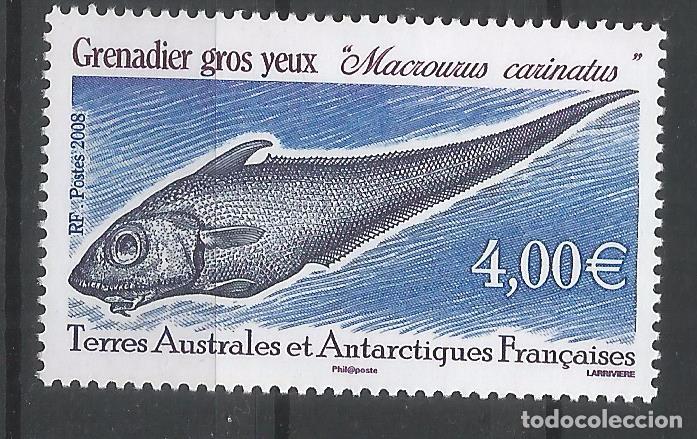 Timbres: TAAF ANTARTCTIC ANTARTIDA POLO SUR PEZ FISH GRENADIER GROS YEUX