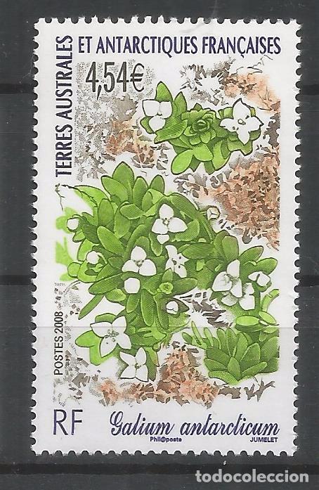 Selos: TAAF ANTARTCTIC ANTARTIDA POLO SUR FLORA VEGETAL