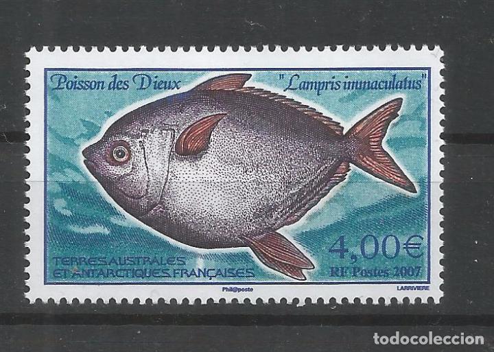Selos: TAAF ANTARTCTIC ANTARTIDA POLO SUR PEZ FISH POISSON DE DIEUX