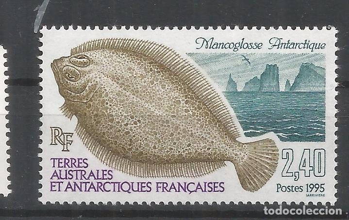 Briefmarken: TAAF ANTARTIDA POLO SUR PEZ FISH