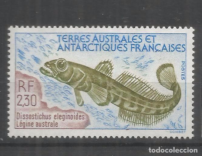 Briefmarken: TAAF ANTARTIDA POLO SUR PEZ FISH