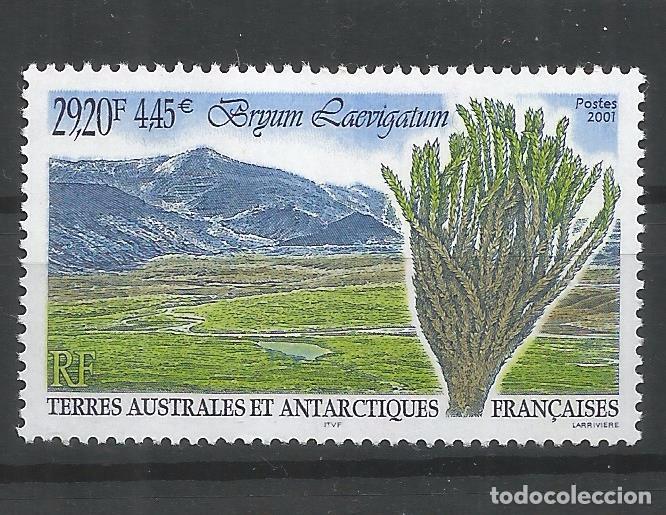 Stamps: TAAF ANTARTCTIC ANTARTIDA POLO SUR FLORA
