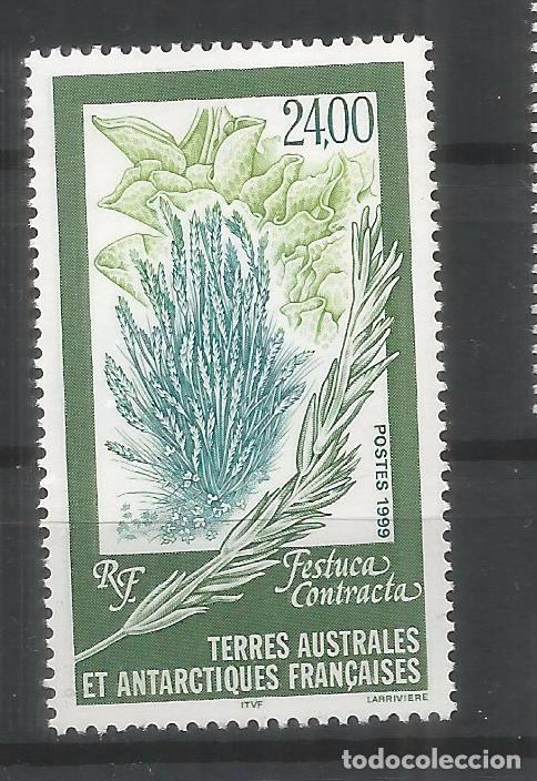 Stamps: TAAF ANTARTCTIC ANTARTIDA POLO SUR FLORA
