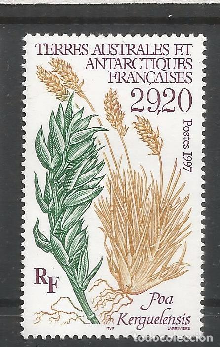 Stamps: TAAF ANTARTCTIC ANTARTIDA POLO SUR FLORA POA