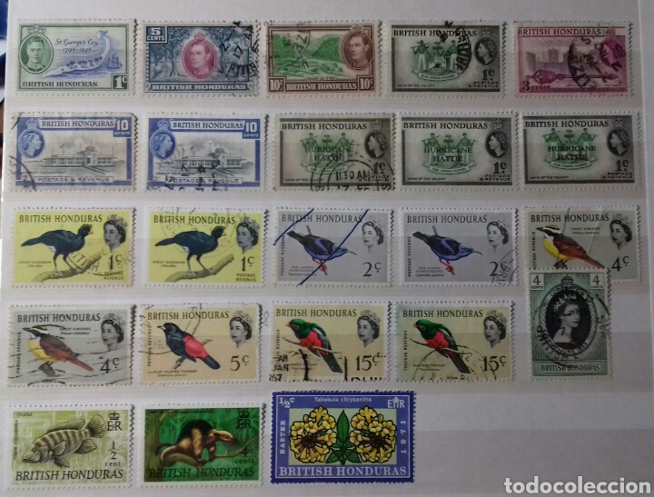 Sellos: Sellos de Honduras Britanica - Foto 1