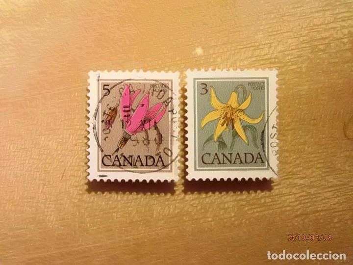 Sellos: CANADA - FLORA - FLORES CON ESTAMBRES. - Foto 1