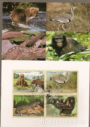 Timbres: Naciones Unidas & Maxi, Fauna, Especies en Peligro de Extinci&oacute;n, ONU Nueva York 2000 (151)