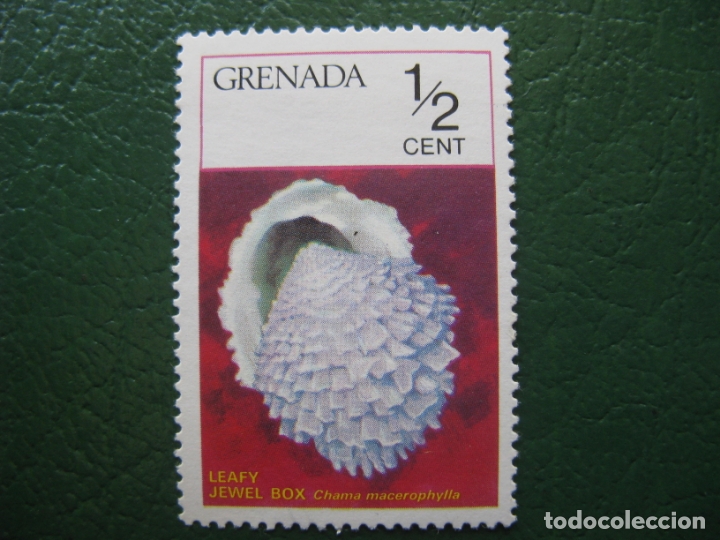 Sellos: grenada, sello tema malacologia - Foto 1