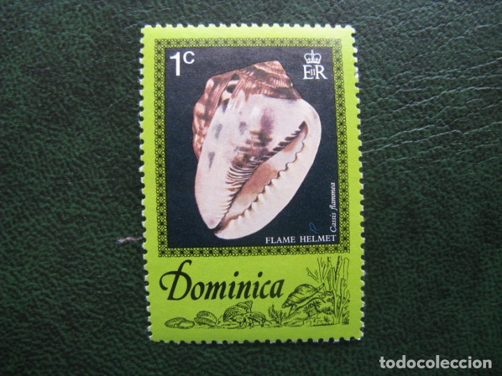 Sellos: dominica, tema malacologia - Foto 1