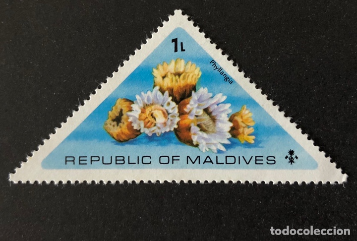 Sellos: Sello nuevo triangular de Maldivas 1 l- flora - Foto 1